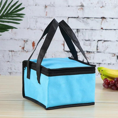 Waterproof Insulated Cooler Thermal Bag - Eclectage