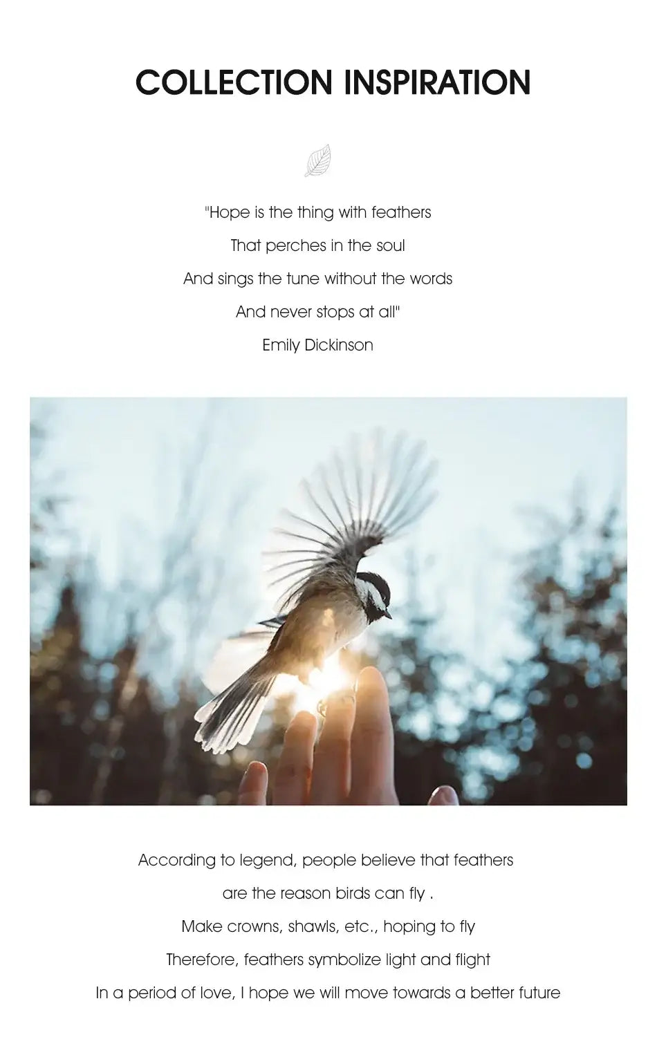 Sterling Silver Feather Ring Rings